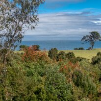 IMG_5761 1110/2019 - Non loin de notre camping préféré Los Liles, il reste encore de belles parcelles pour ceux qui veulent s'offrir un p'tit coin de paradis au-dessus...